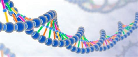 K­a­n­s­e­r­ ­r­i­s­k­i­n­i­ ­a­r­t­ı­r­a­n­ ­g­e­n­e­t­i­k­ ­k­u­s­u­r­ ­b­u­l­u­n­d­u­ ­-­ ­S­a­ğ­l­ı­k­ ­H­a­b­e­r­l­e­r­i­